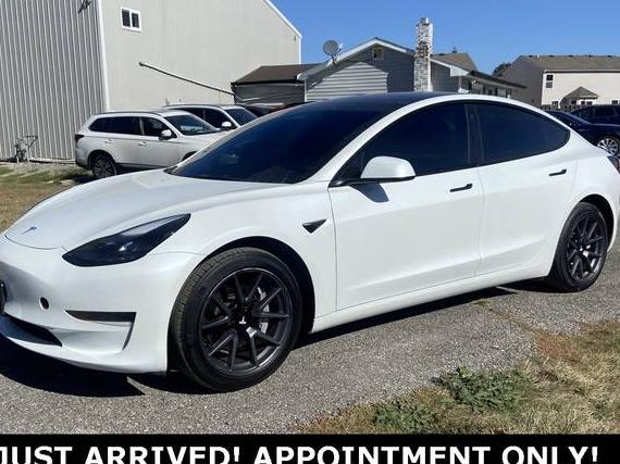 TESLA MODEL 3 2023 5YJ3E1EA1PF434770 image TESLA MODEL 3 2023 5YJ3E1EA1PF434770 image